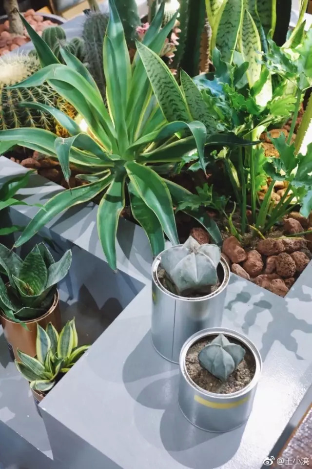 和喜欢的人下午喝咖啡,咖啡店和喜欢的人一起去