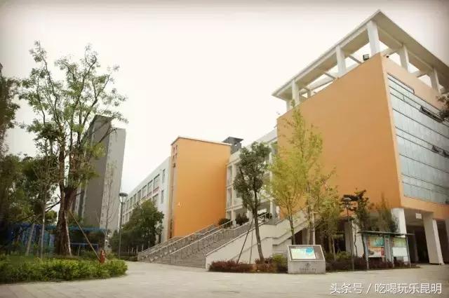 再见了龙狮城,再见了八年级