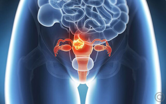 强生爽身粉含滑石粉有毒吗,强生爽身粉含有滑石粉