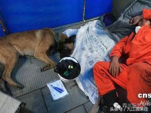 5.12汶川大地震真实影像实录,5.12汶川大地震官方纪录片