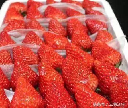 辽宁什么水果有名又好吃,辽宁冬天的应季水果都有什么