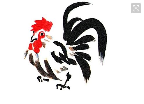 为啥说2023年鸡犯太岁,2024年鸡犯太岁的最佳解决方法