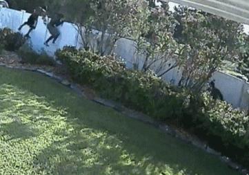 这算不算最萌身高差?