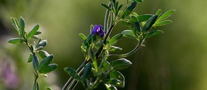 女北漂创业,北漂女找老乡