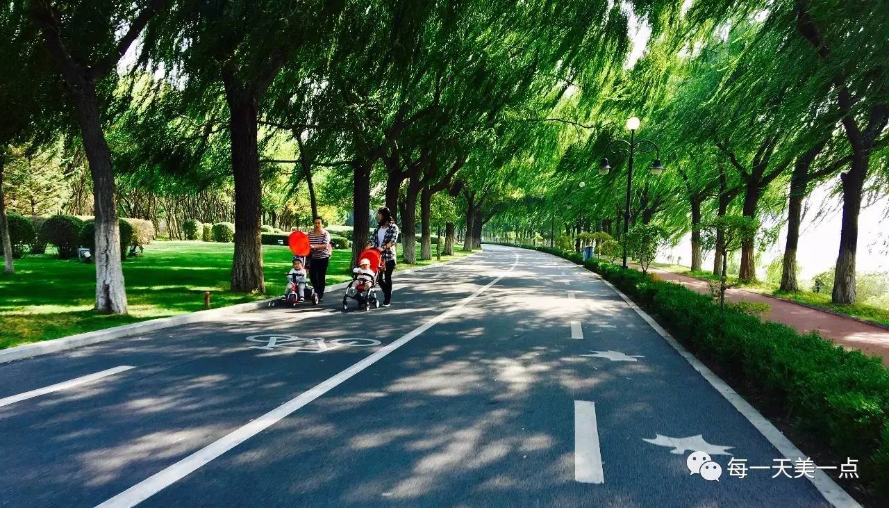 沈阳浑河边骑行夜景,浑河漫步道自行车