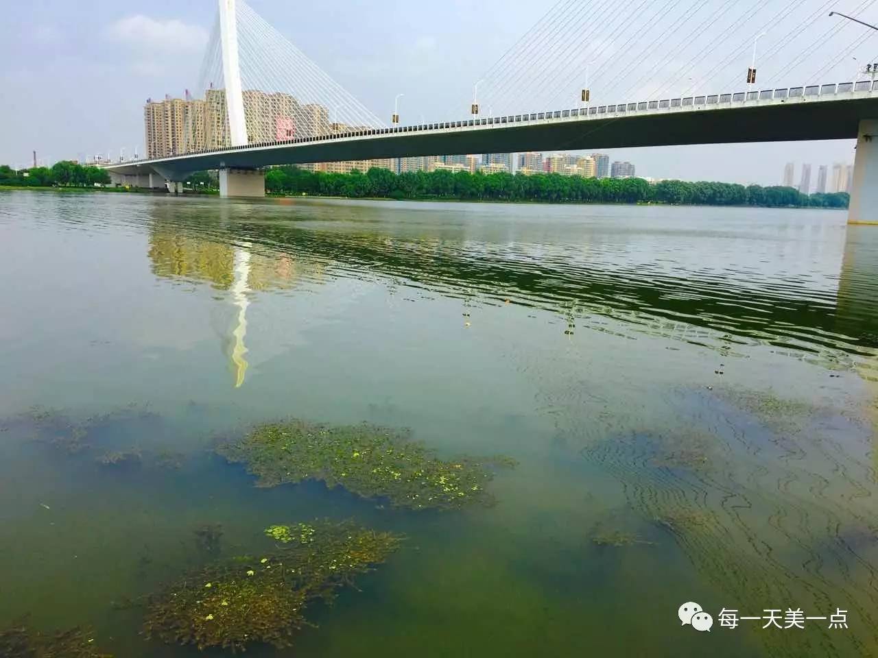 沈阳浑河边骑行夜景,浑河漫步道自行车