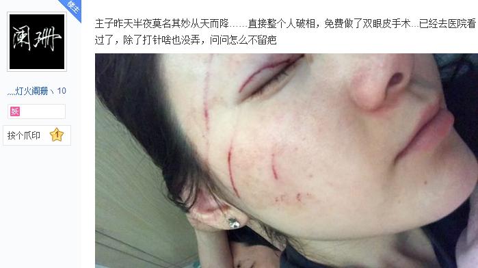 喵星人从天而降,喵星人被吓从天而降