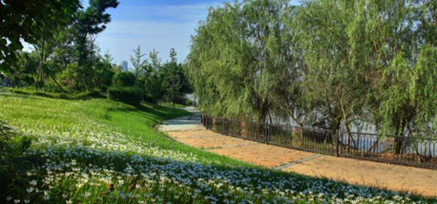 北岛说丨日渐消失的河畔生活,城北给你!