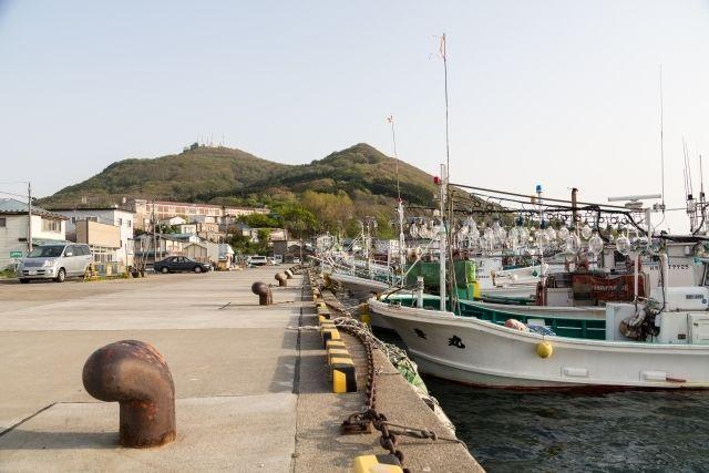 逛日本海鲜市场,北海道函馆海胆