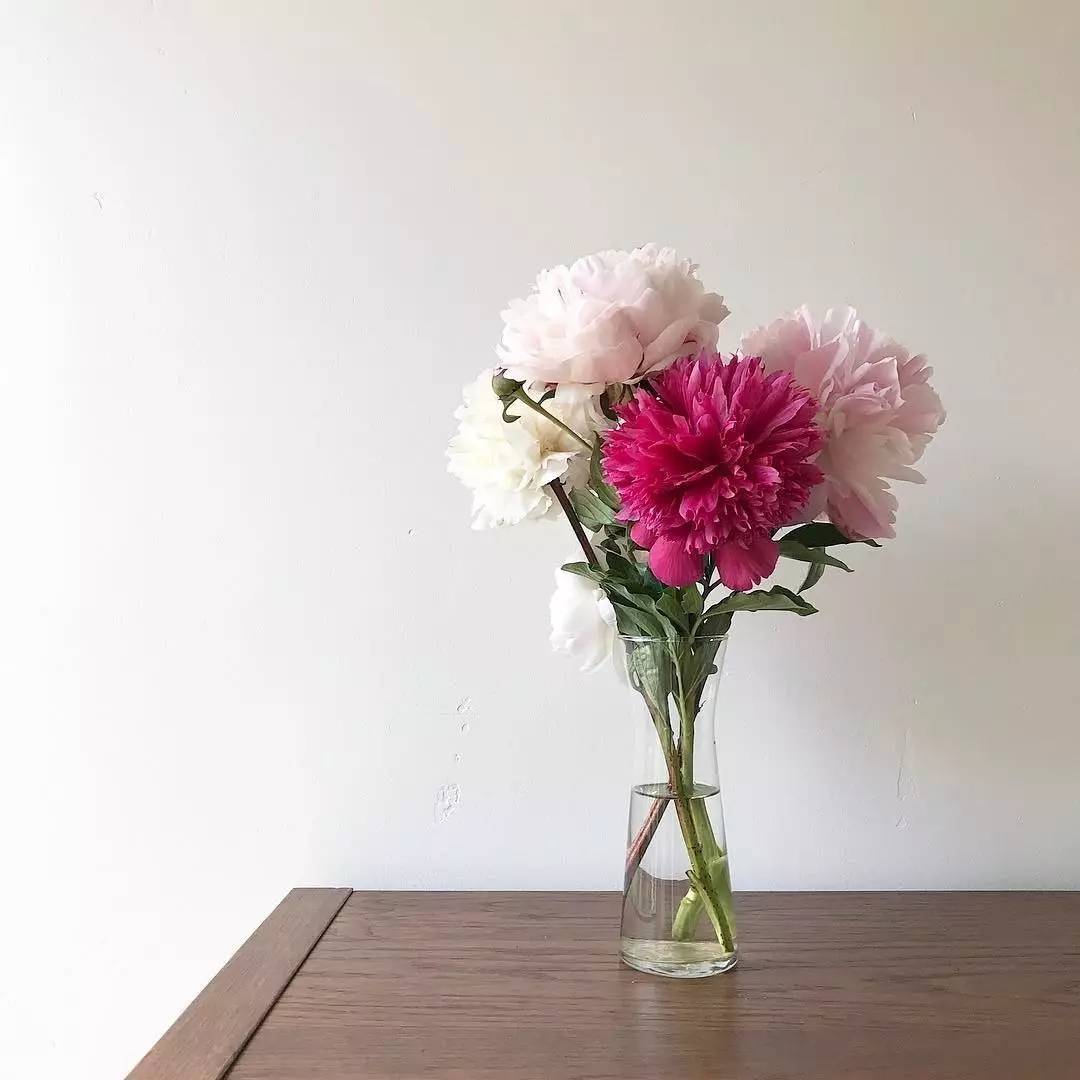 除了康乃馨还可以送母亲什么花,母亲节适合送妈妈的花康乃馨