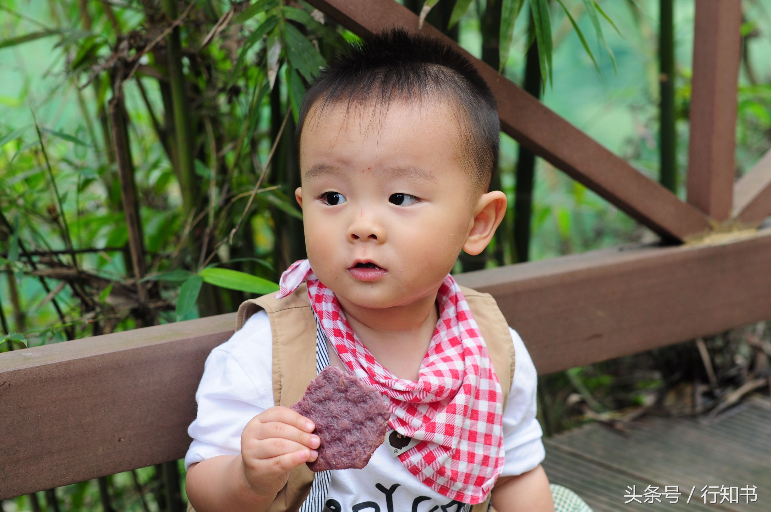 深圳旅游必去十大景点动物园,广州一日游最佳去处动物园