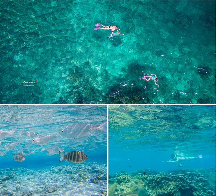 世界上最快乐岛国瓦努阿图旅行指南！