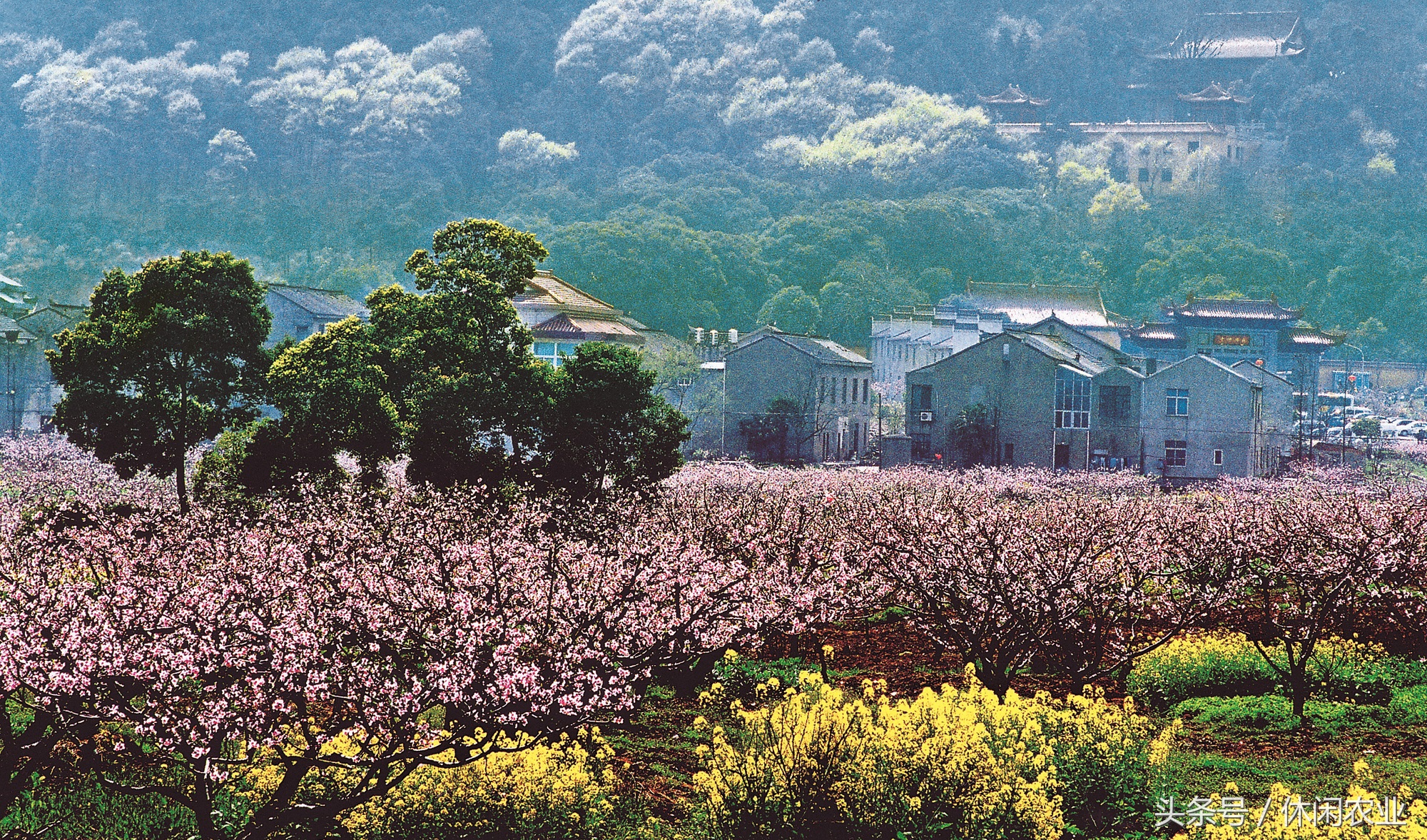 无锡阳山镇景区,阳山休闲好去处