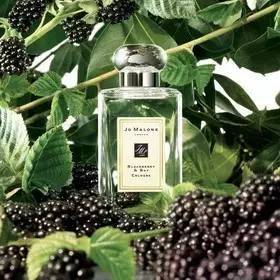 什么样的香水比较好,香水是代表一个人的性格吗