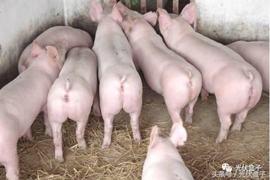 赚钱商机小窍门,挣钱的商机和投资方法