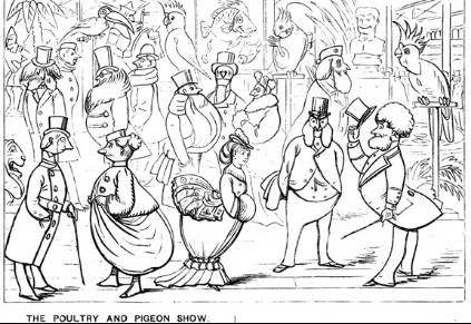 达尔文的进化论最出名的话,为何那么多人怀疑达尔文的进化论