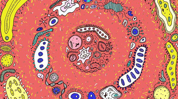 什么品牌硝化细菌菌种最好,好氧反硝化细菌属于什么菌种