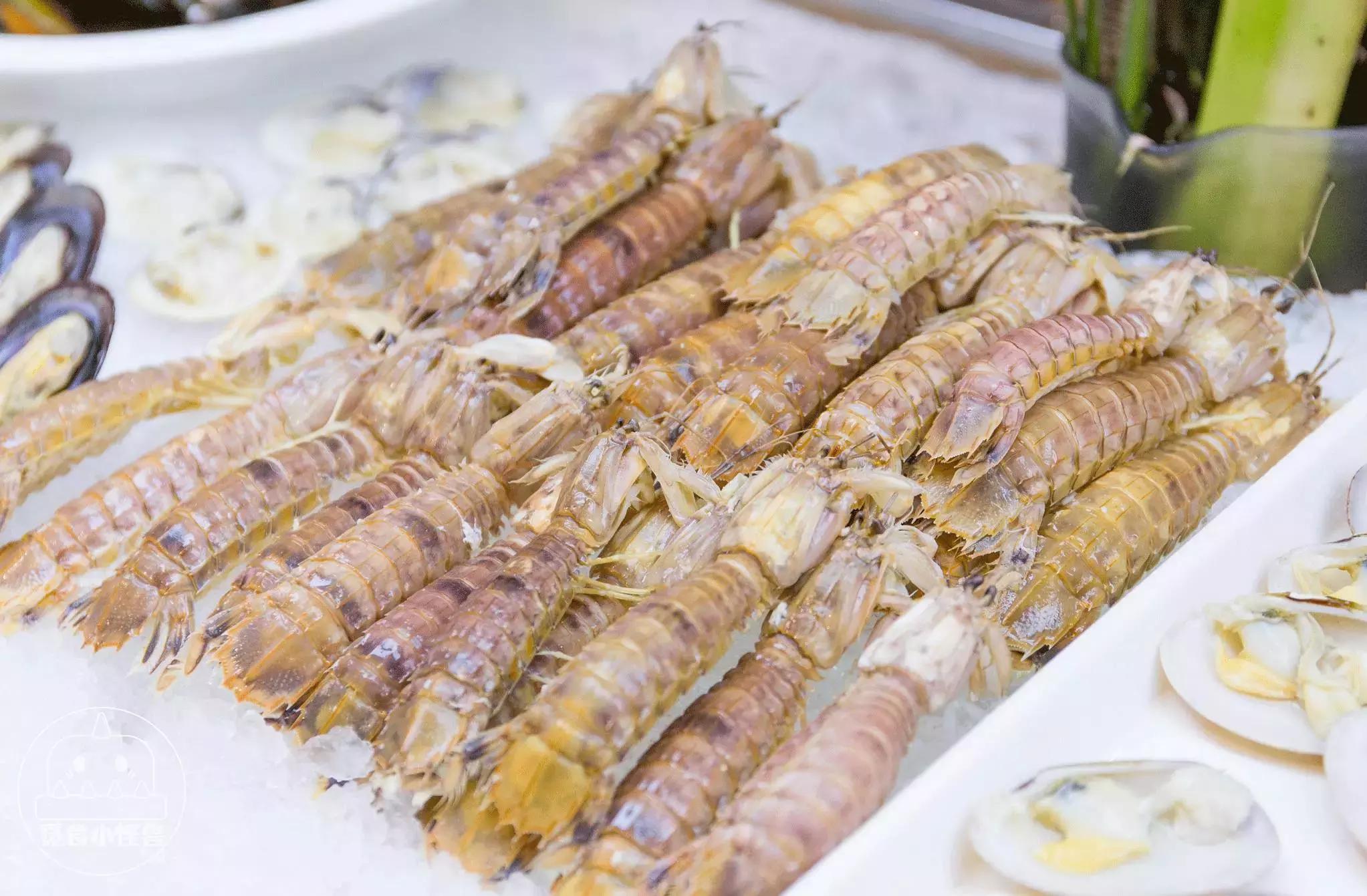 珠海觅食小怪兽佳佳,珠海觅食小怪兽推广要多少钱