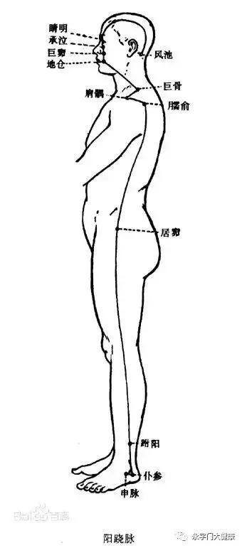 奇经八脉理论完整版,奇经八脉详解视频