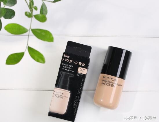 大牌粉底的替代品,真爱粉福利