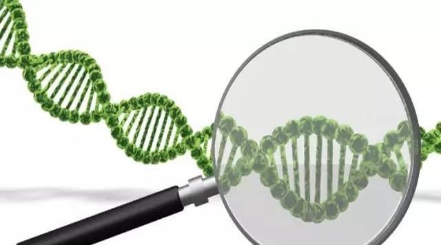 大脑橡皮擦现象,大脑有块橡皮擦