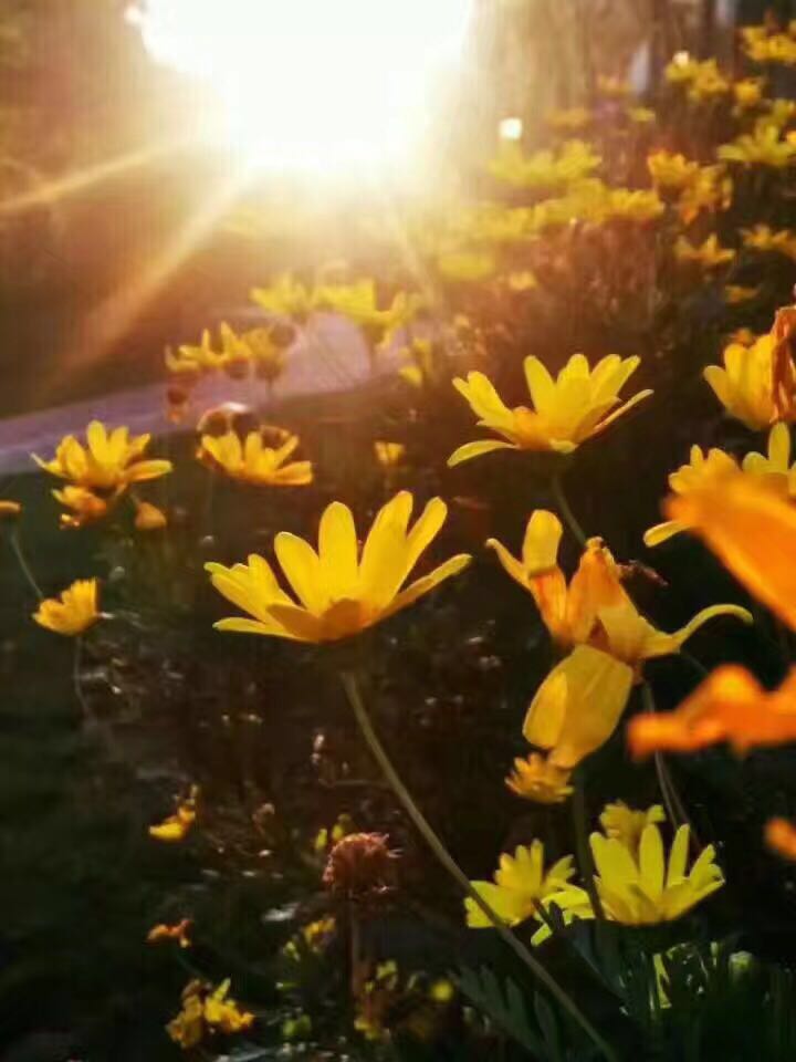 所有遇见都是美好的,所有遇见皆是修行