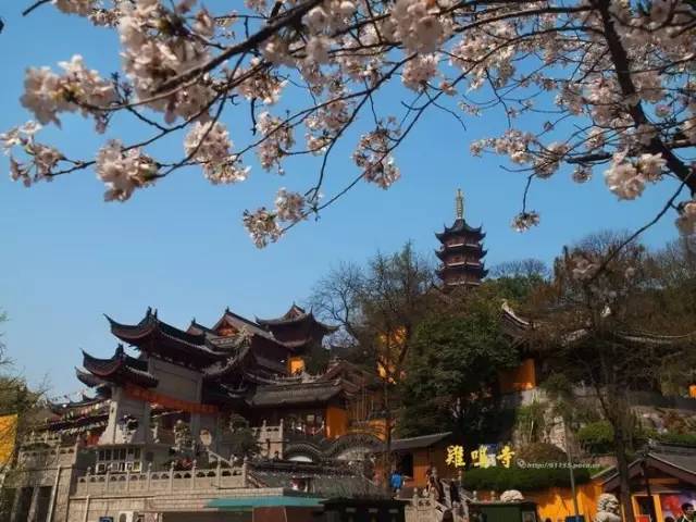 兴义飞昆明的航班,兴义航班飞铜仁