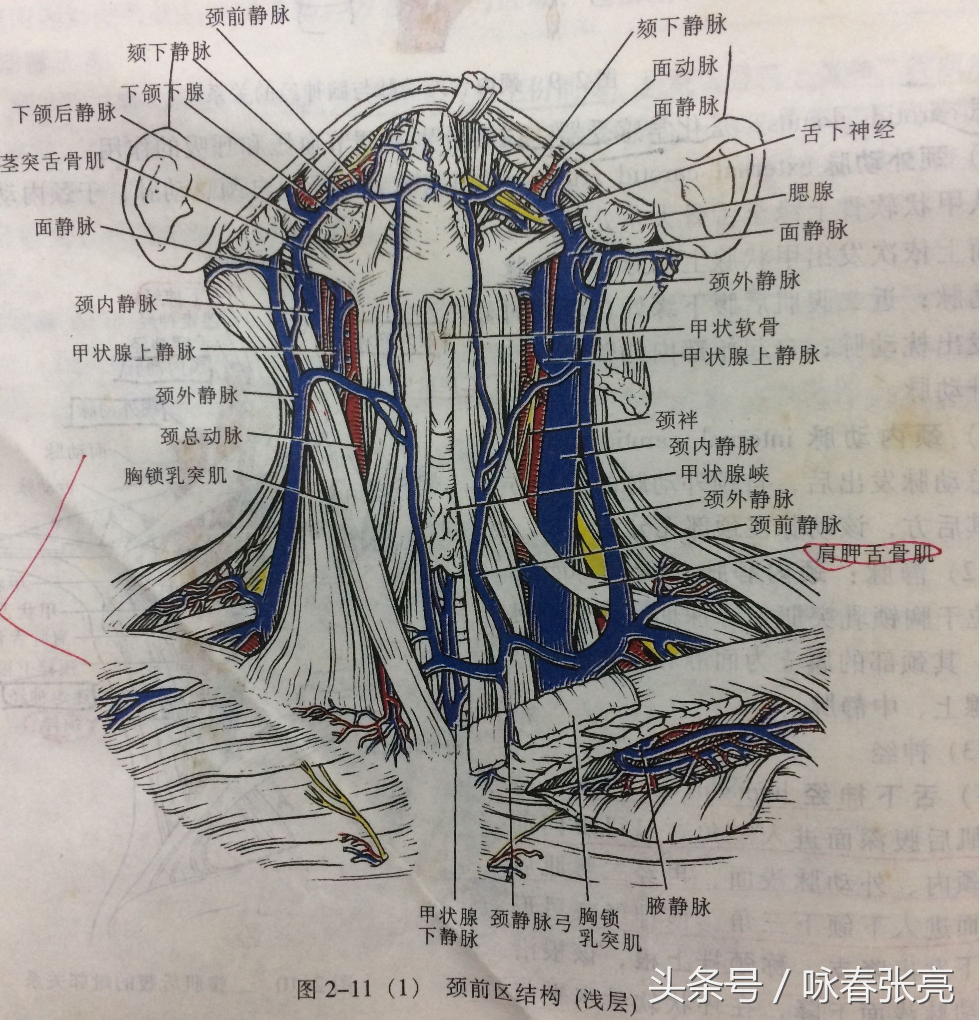 谁说咏春打不过泰拳,谁说传统武术不行你戳我眼睛试试