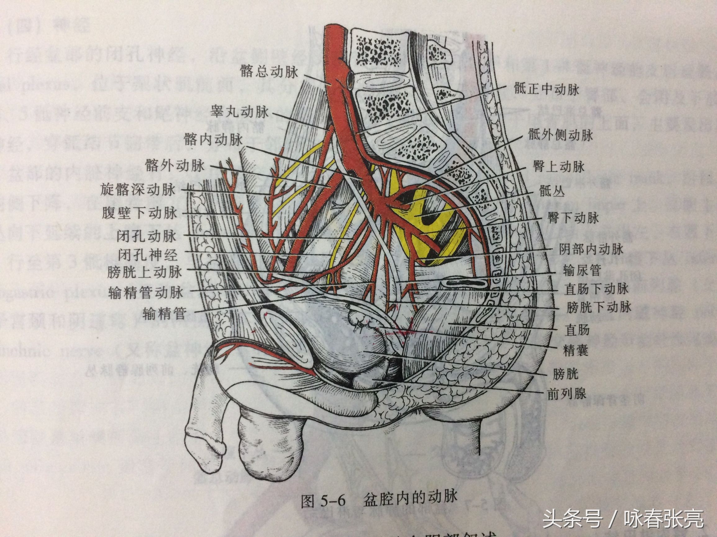 谁说咏春打不过泰拳,谁说传统武术不行你戳我眼睛试试