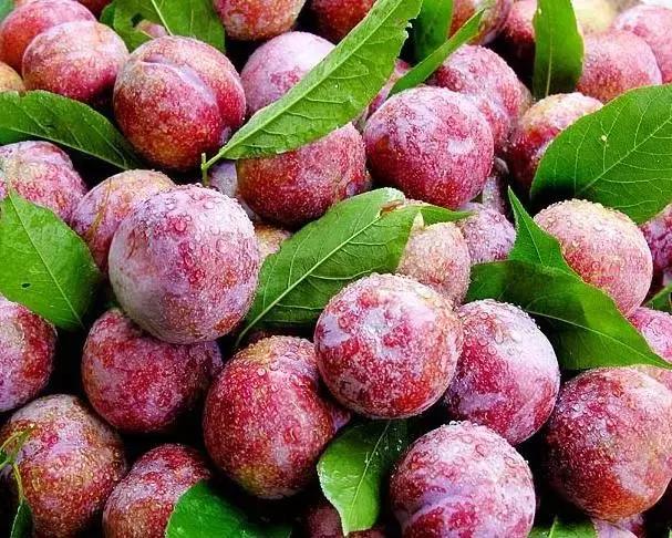 夏日水果如何吃中医教你健康吃,一张表告诉你水果怎么吃更健康