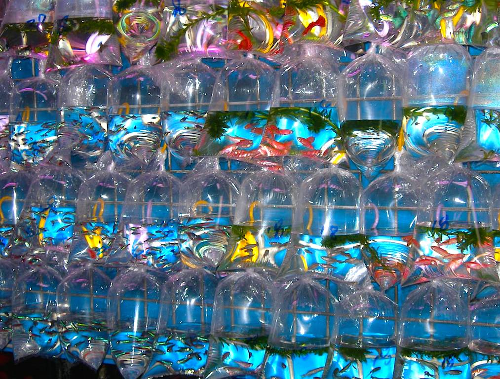 去香港旅游拍照攻略大全,去香港的景色视频