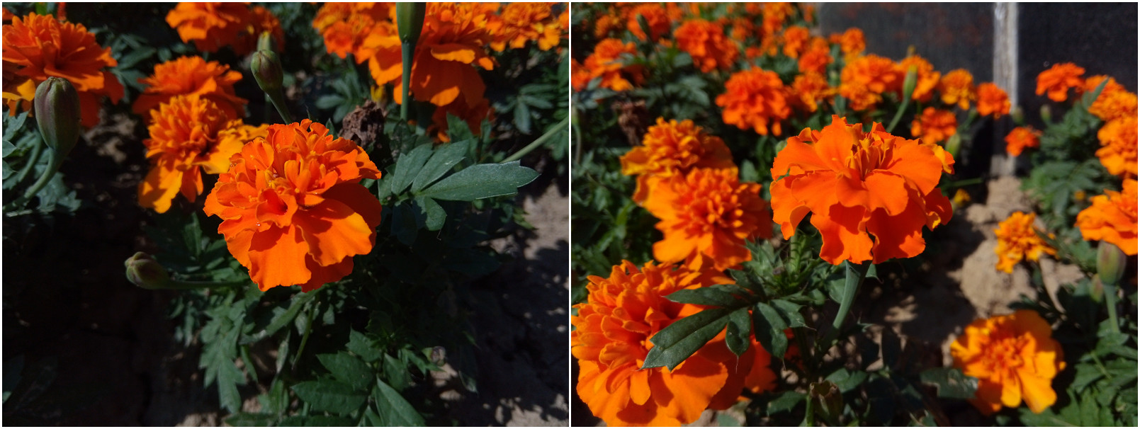 裸眼3d手机2019,沉浸式裸眼3d手机