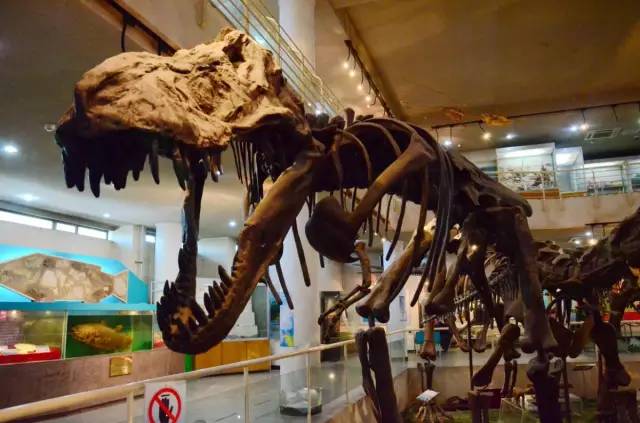 北京国际博物馆日哪些博物馆免费,北京小众博物馆免费开放一览表