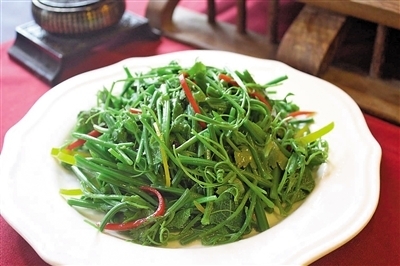 每一种菜都是纯天然的绿色蔬菜,这才是真正的纯天然无公害蔬菜