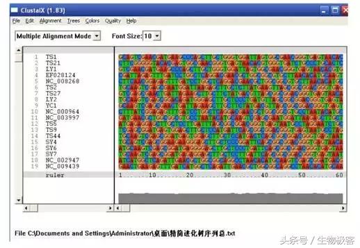 mega怎么建进化树,如何使用mega软件构建系统进化树