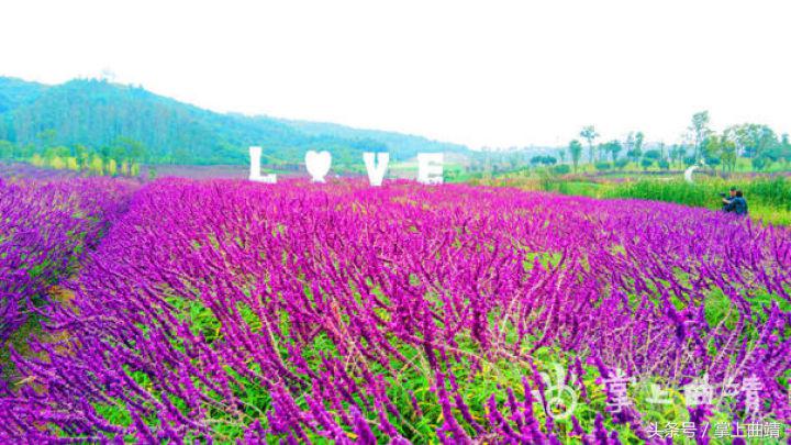 麒麟金麟湾:喧嚣城市中的一道静怡之湾