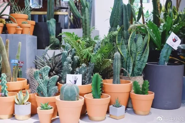 和喜欢的人下午喝咖啡,咖啡店和喜欢的人一起去