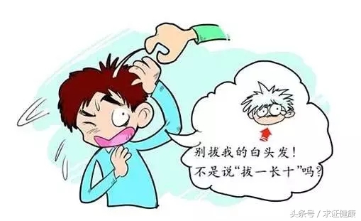 为啥会白头发,为什么你会有白头发