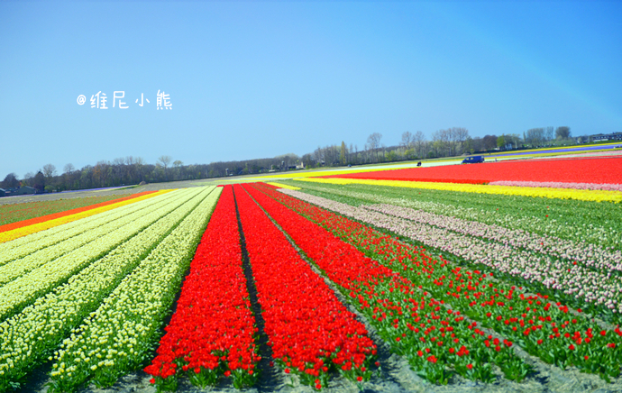 乘着邮轮奢华浪漫游欧洲四国