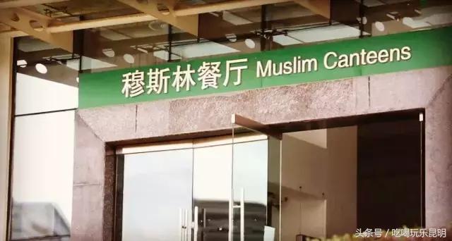 再见了龙狮城,再见了八年级