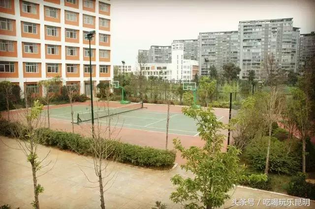 再见了龙狮城,再见了八年级