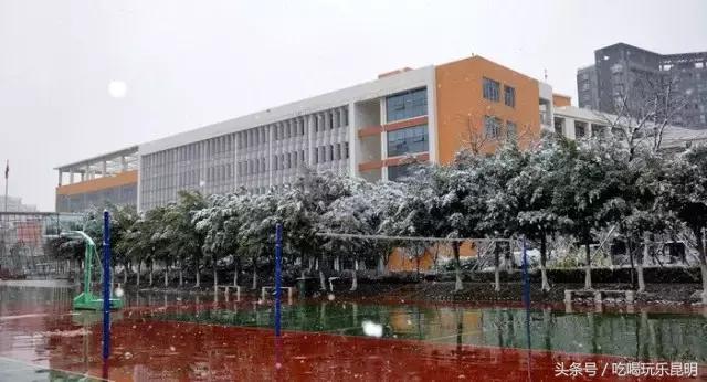 再见了龙狮城,再见了八年级