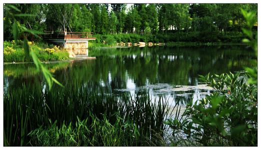 北岛说丨日渐消失的河畔生活,城北给你!