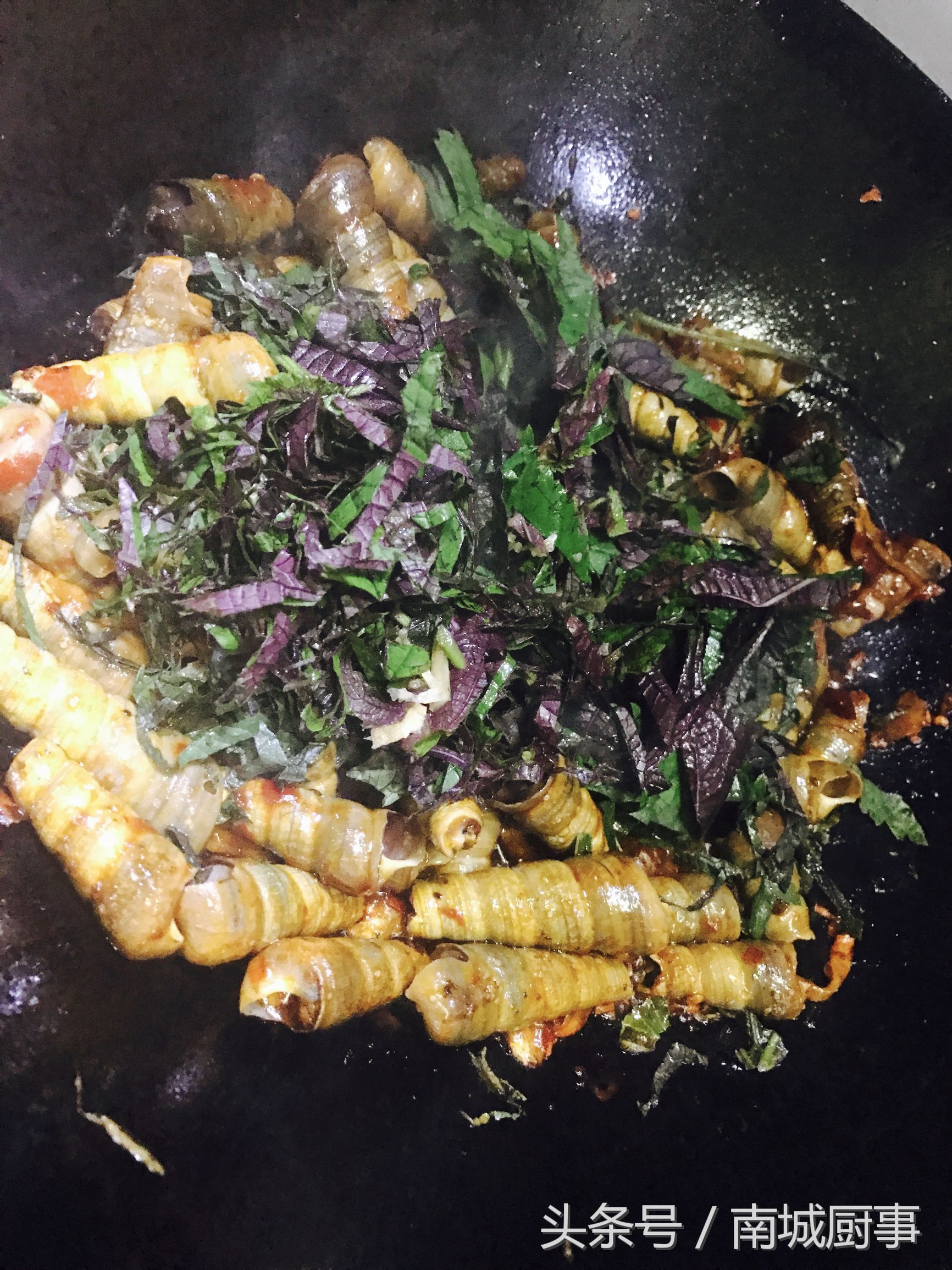 炒钉螺的做法大全家常,辣炒钉螺的最正宗做法大全