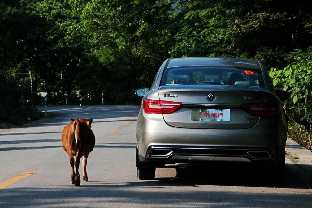 7万元就能买中级车？桂林试驾景逸S50后感叹真值