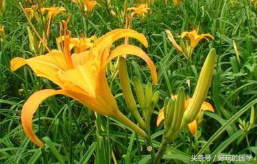 母亲最伟大的称呼,致敬每位母亲