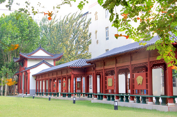 胜天半子！敢赌敢拼，中招只要迈过这个坎儿，想不胜都难！