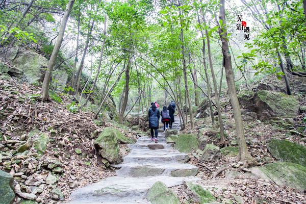 芜湖马仁奇峰风景区玻璃桥,马仁奇峰在哪里