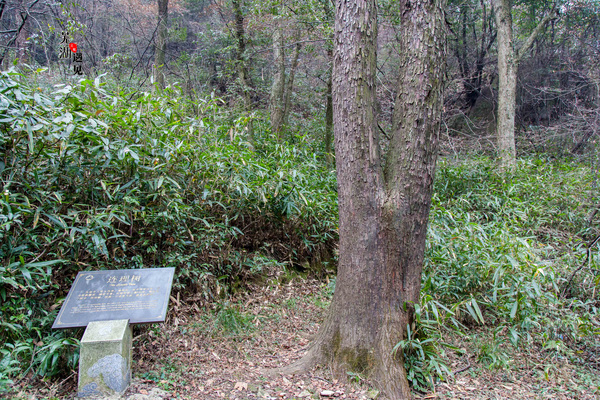 芜湖马仁奇峰风景区玻璃桥,马仁奇峰在哪里