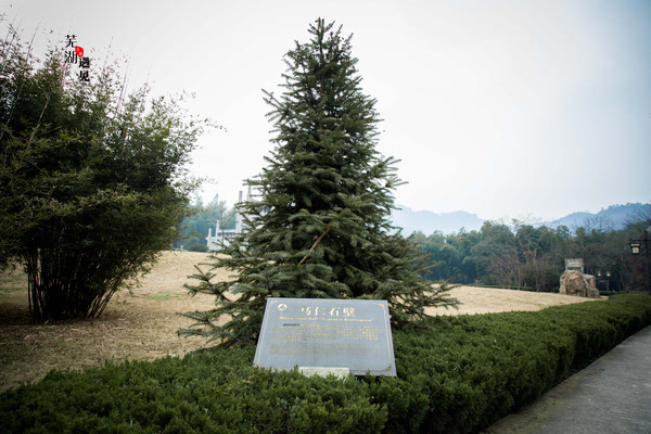 芜湖马仁奇峰风景区玻璃桥,马仁奇峰在哪里